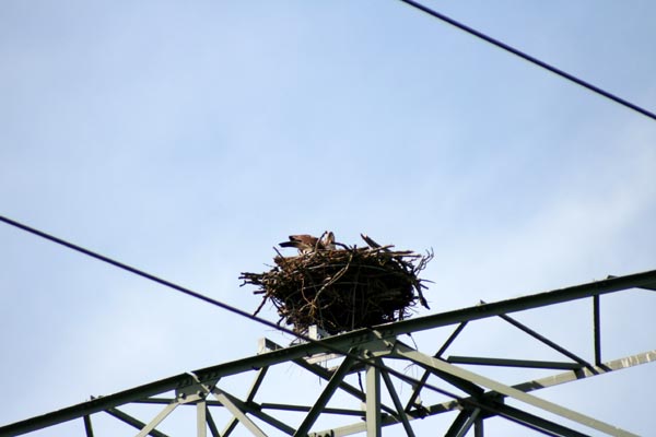 Killikus&reg; Fotographie